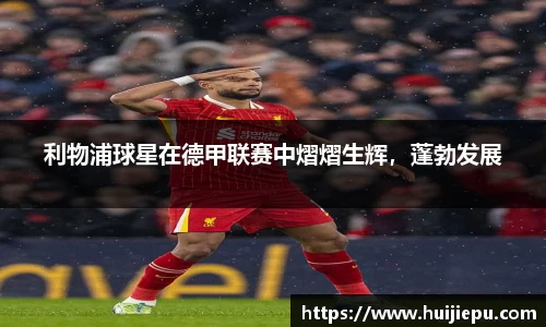 zoty中欧体育官方网站